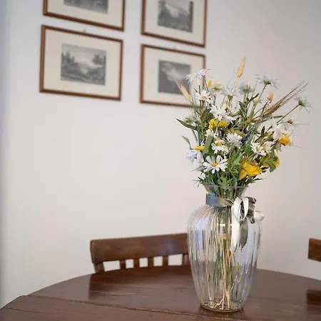 Lejlighed San Mattia's By Dimorra Napoli